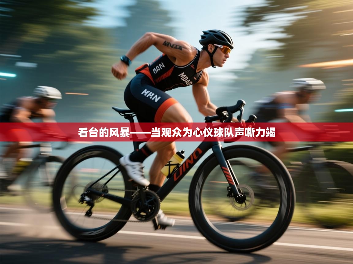 看台的风暴——当观众为心仪球队声嘶力竭 第1张